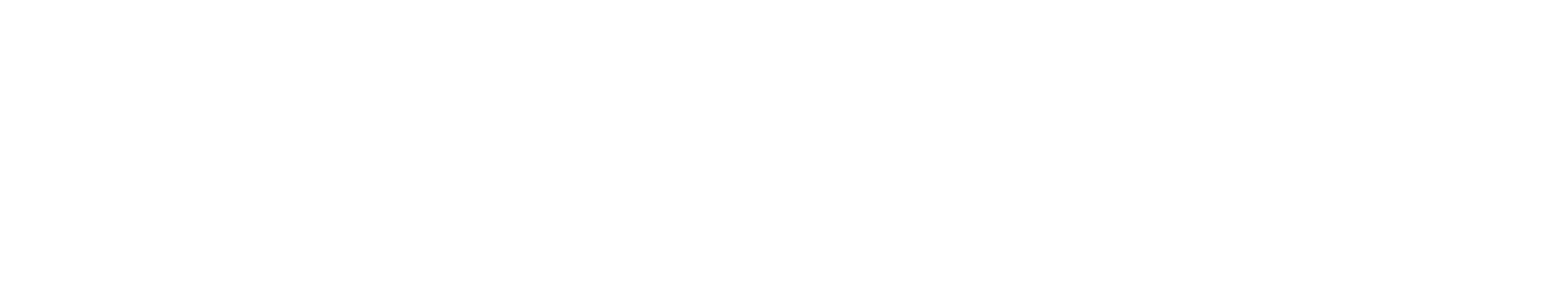 Success Summit 2025